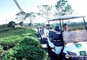Tan Cuong Tea Cultural Center第 5 张图片