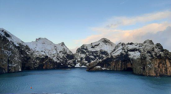 SEA LIFE Trust Beluga Whale Sanctuary