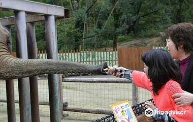 Shirotori Zoo第 4 张图片