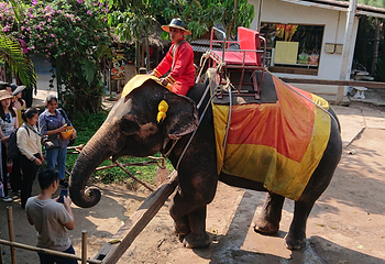 Chang Puak Camp Damnoen Saduak第 9 张图片