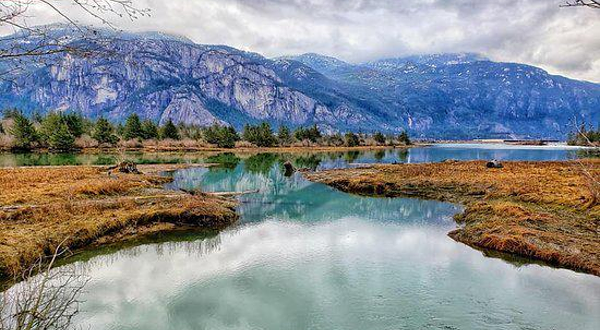 Squamish Estuary