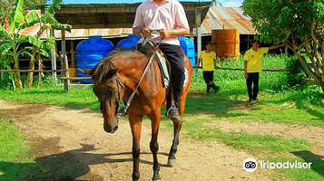 Phuket International Horse Club