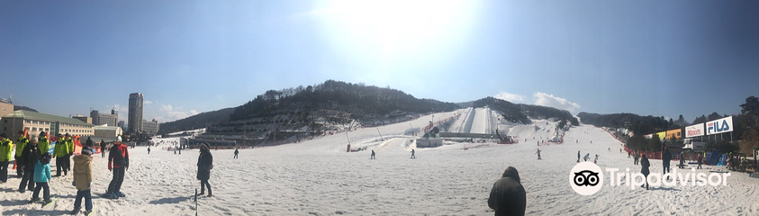 凤凰雪上公园第 10 张图片