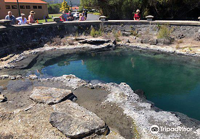 Rachel Spring Whangapipiro