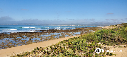 Alabama Witsand Beach House