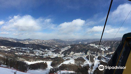 凤凰雪上公园第 9 张图片
