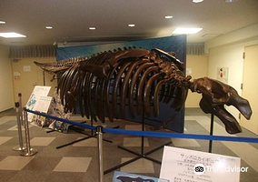 札幌市博物馆活动中心