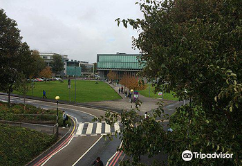 爱尔兰国立大学戈尔韦第 10 张图片