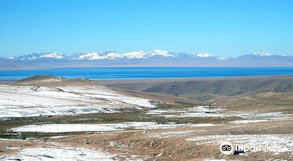 Chemodan Zusmanovicha