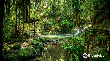 苏瓦内陆森林公园