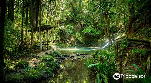 苏瓦内陆森林公园