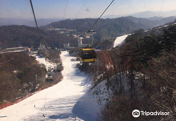 凤凰雪上公园第 17 张图片