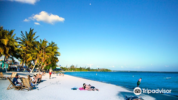 Peninsula de Zapata National Park