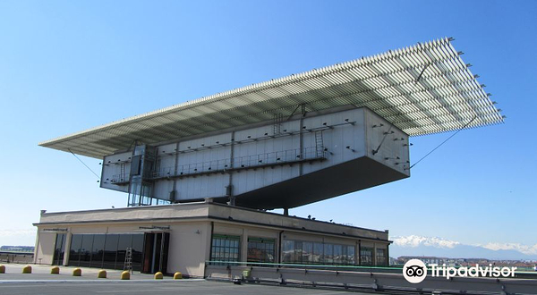 Giovanni and Marella Agnelli Picture Gallery