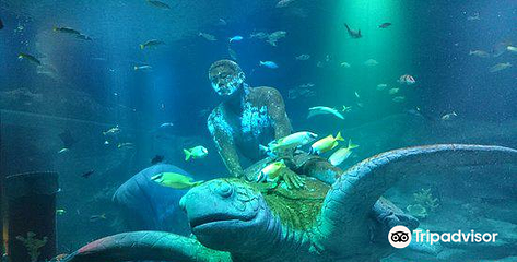 名古屋SEA LIFE水族馆第 4 张图片