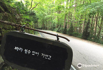 长泰山自然休养林第 17 张图片