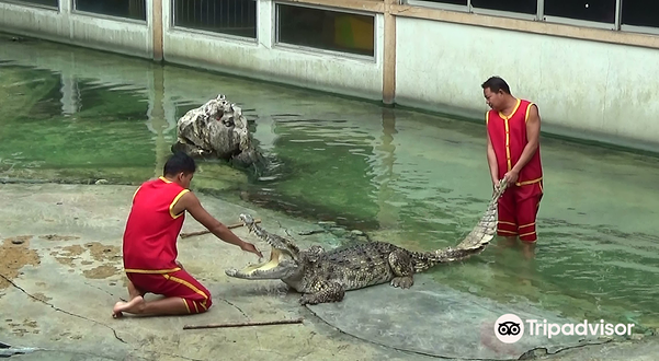 北榄府鳄鱼湖动物园