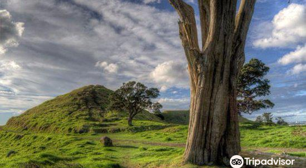 Mangere Mountain Education Centre